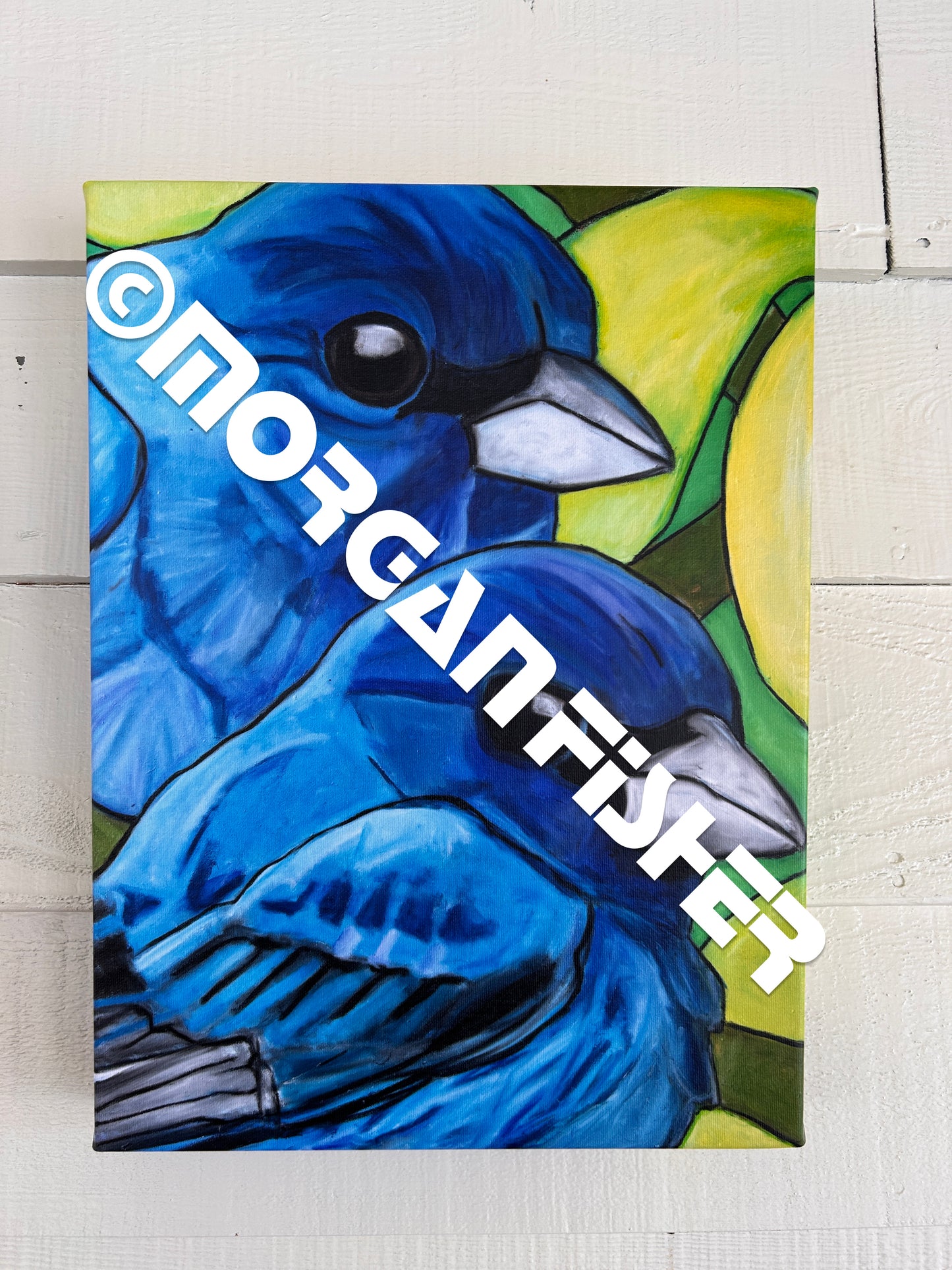 INDIGO BUNTINGS | CANVAS GICLEE | 12 x 16