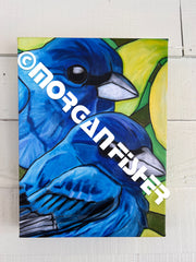 INDIGO BUNTINGS | CANVAS GICLEE | 12 x 16