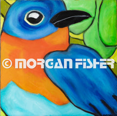 Bird Gallery | Portfolio