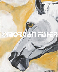 Horse Gallery | Portfolio
