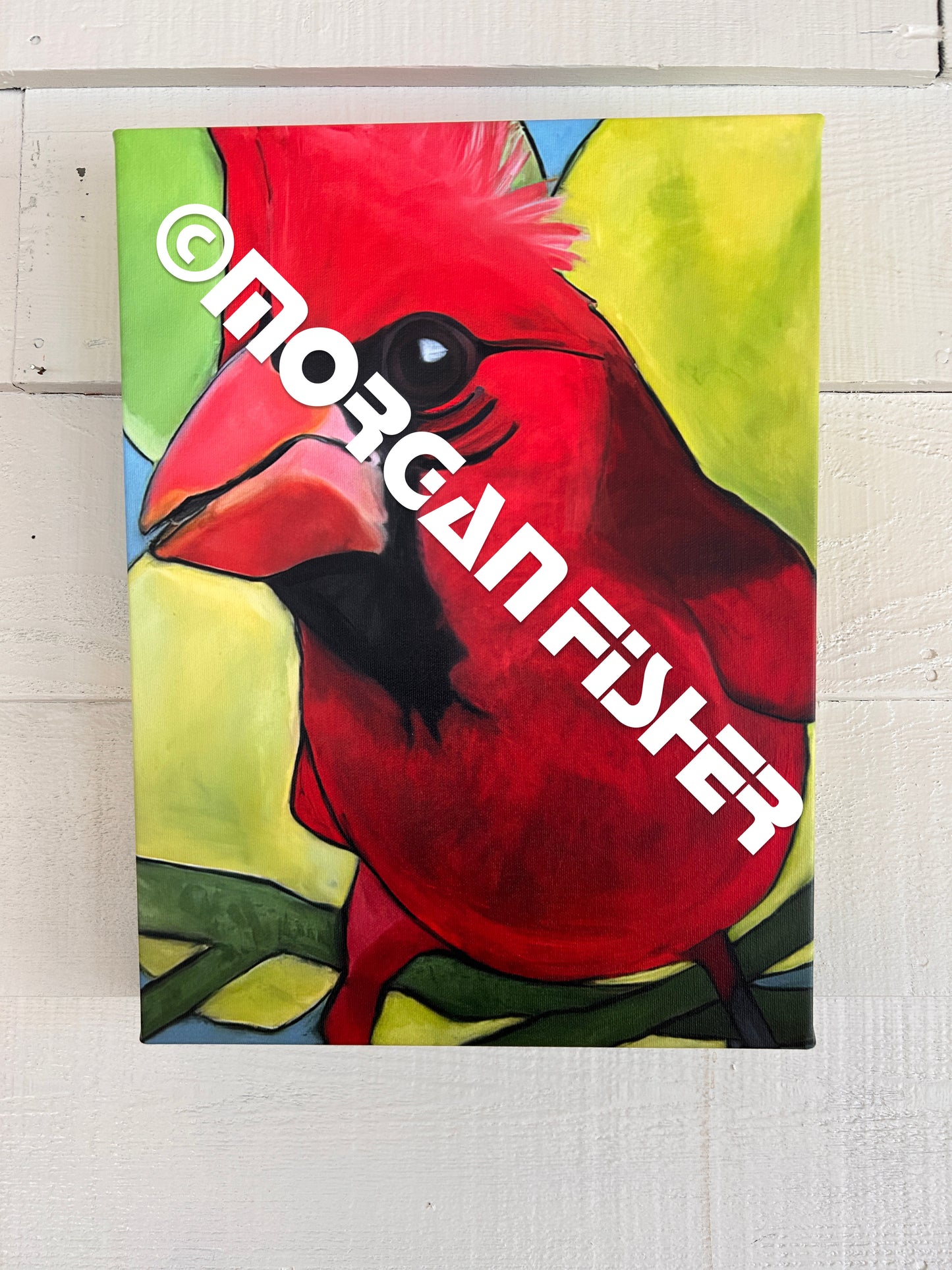 CARDINAL MALE | CANVAS GICLEE | 12 x 16