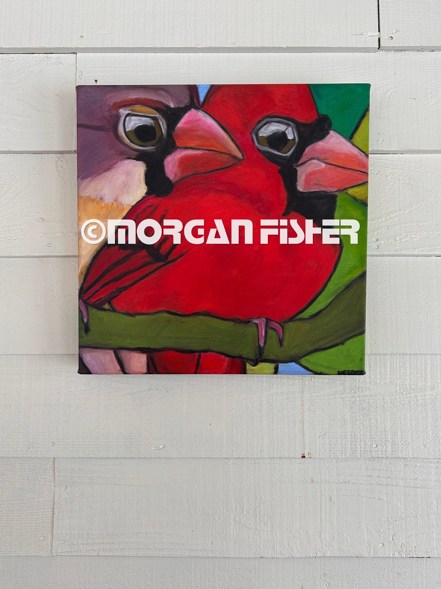 CARDINAL CURIOSITY | CANVAS GICLEE | 16 x 16