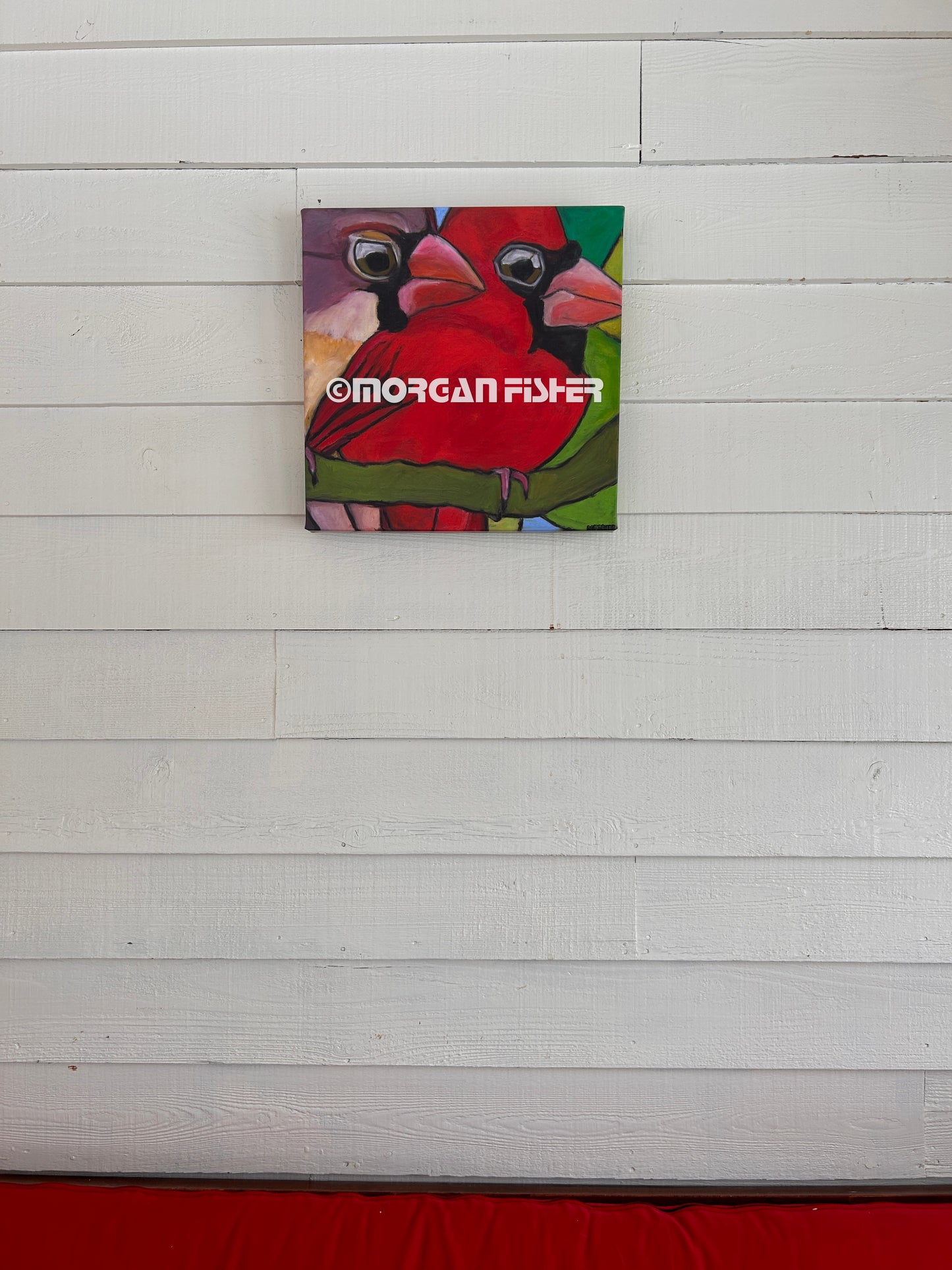 CARDINAL CURIOSITY | CANVAS GICLEE | 16 x 16