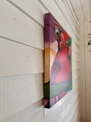 CARDINAL CURIOSITY | CANVAS GICLEE | 24 x 24