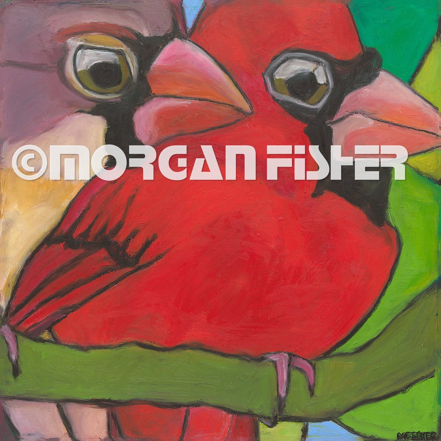 Bird Gallery | Portfolio