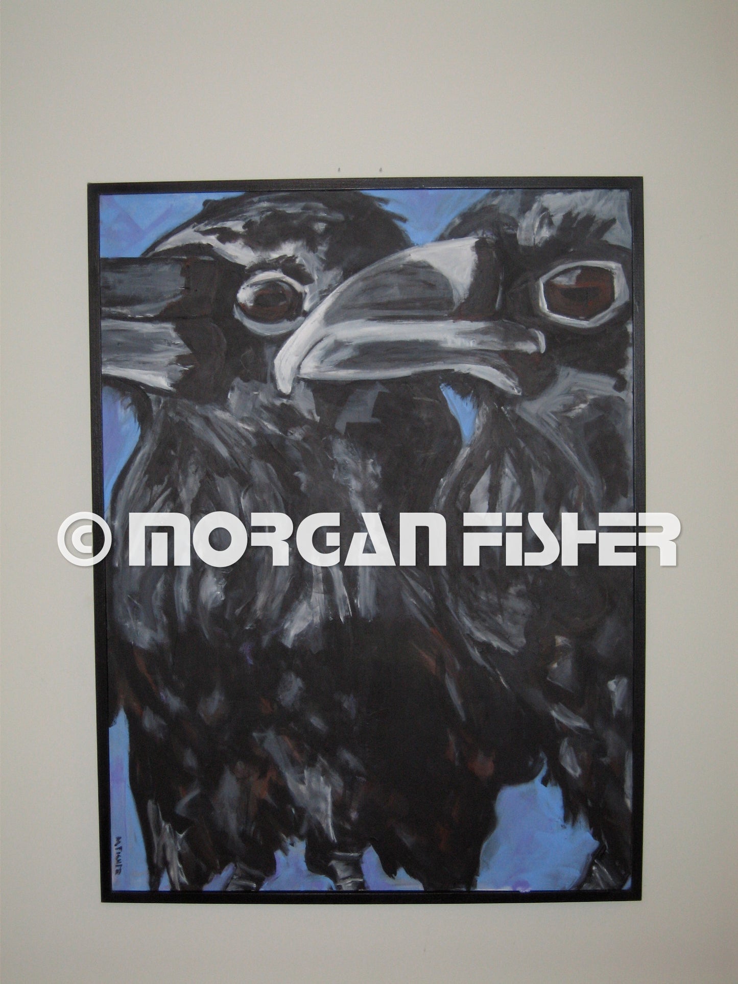Bird Gallery | Portfolio