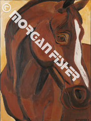 Horse Gallery | Portfolio