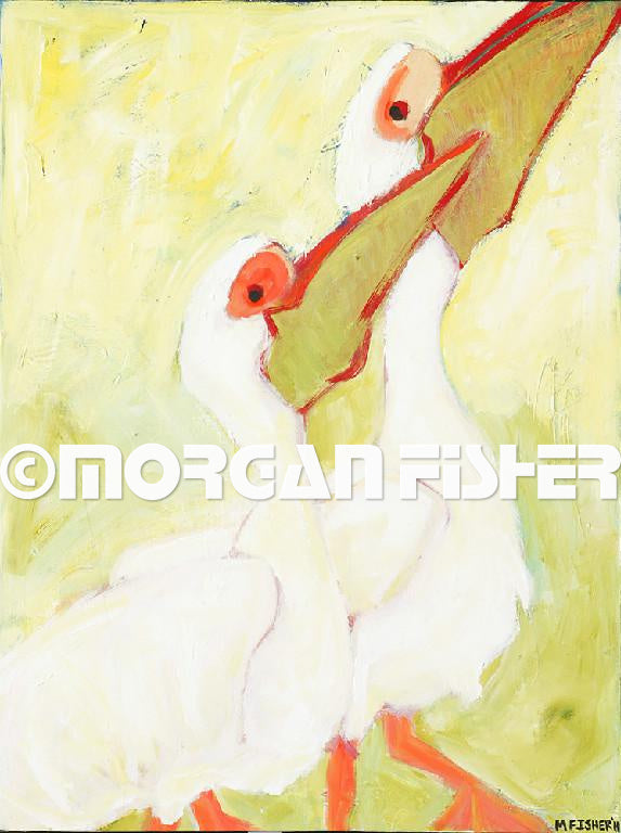 Bird Gallery | Portfolio