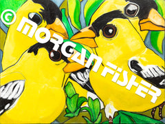 Bird Gallery | Portfolio