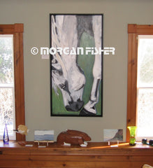 Horse Gallery | Portfolio