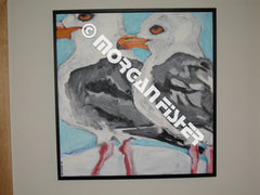 Bird Gallery | Portfolio