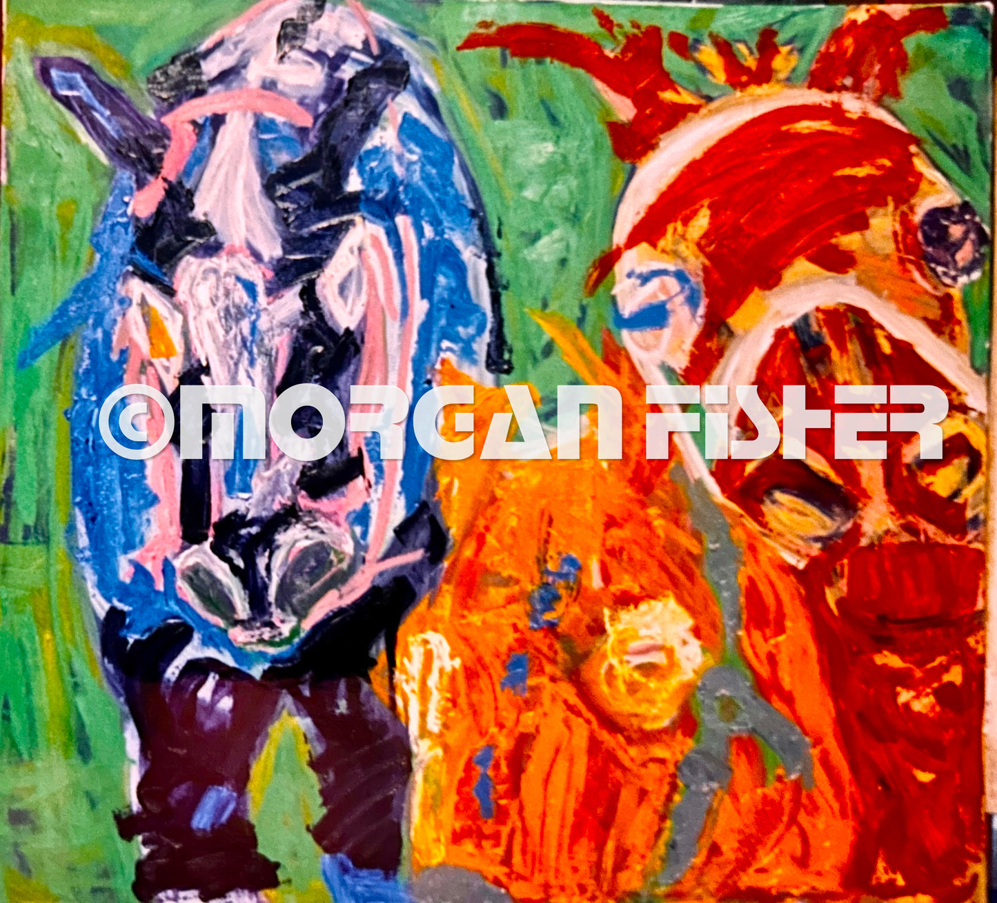 Horse Gallery | Portfolio