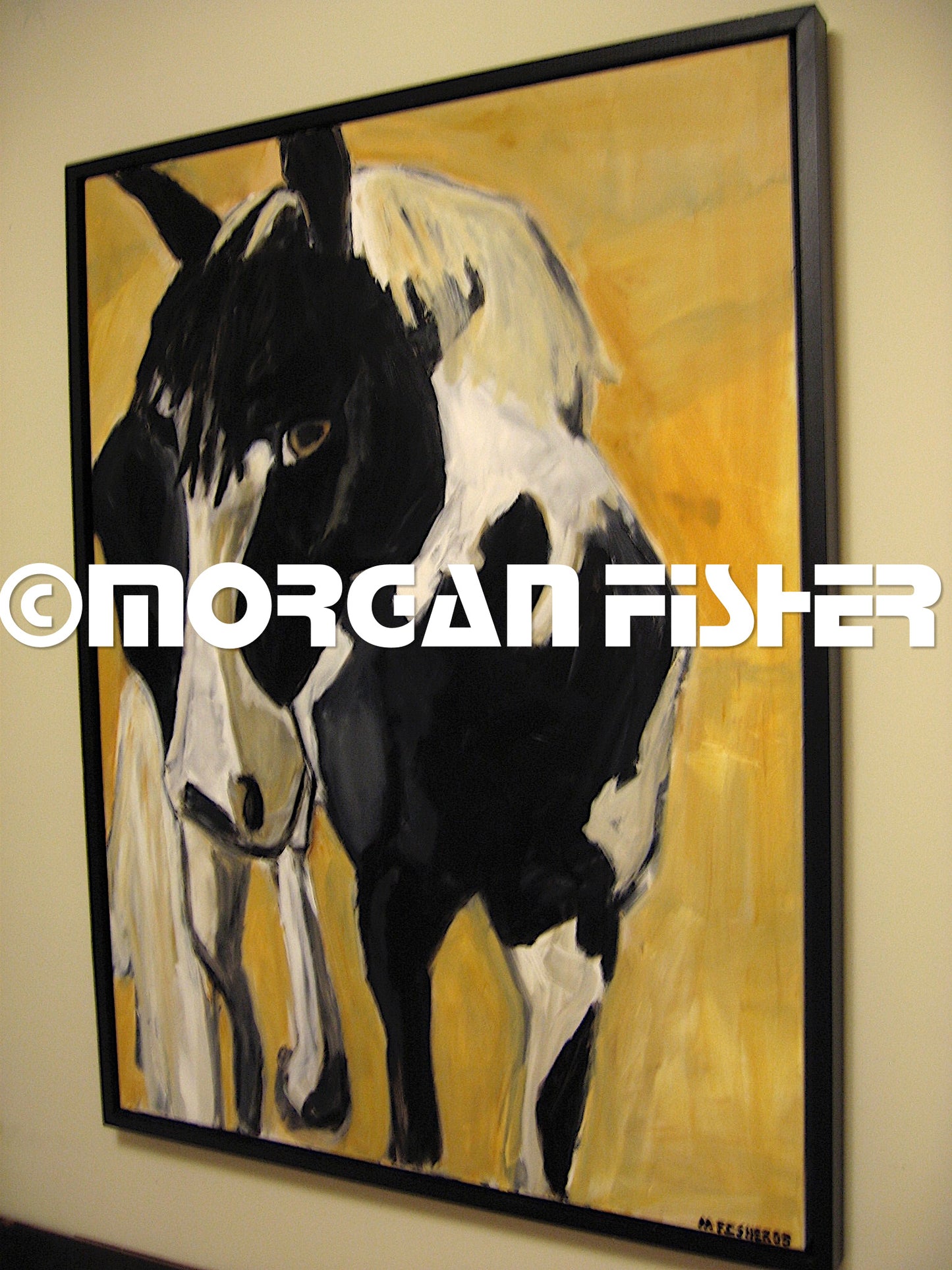 Horse Gallery | Portfolio