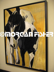 Horse Gallery | Portfolio