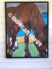 Horse Gallery | Portfolio