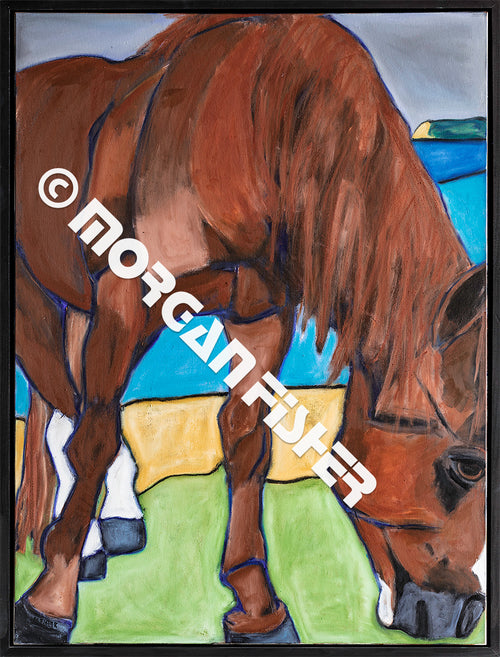 ISLAND HORSE SORREL | FRAMED PAINTING