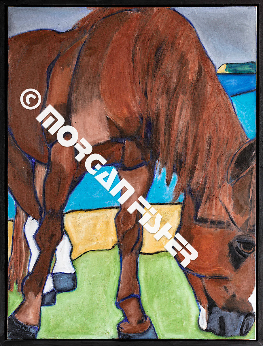 ISLAND HORSE SORREL| CANVAS GICLEE | 12x16