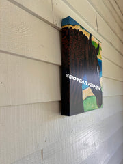 ISLAND HORSE and DUNES | CANVAS GICLEE | 14x16
