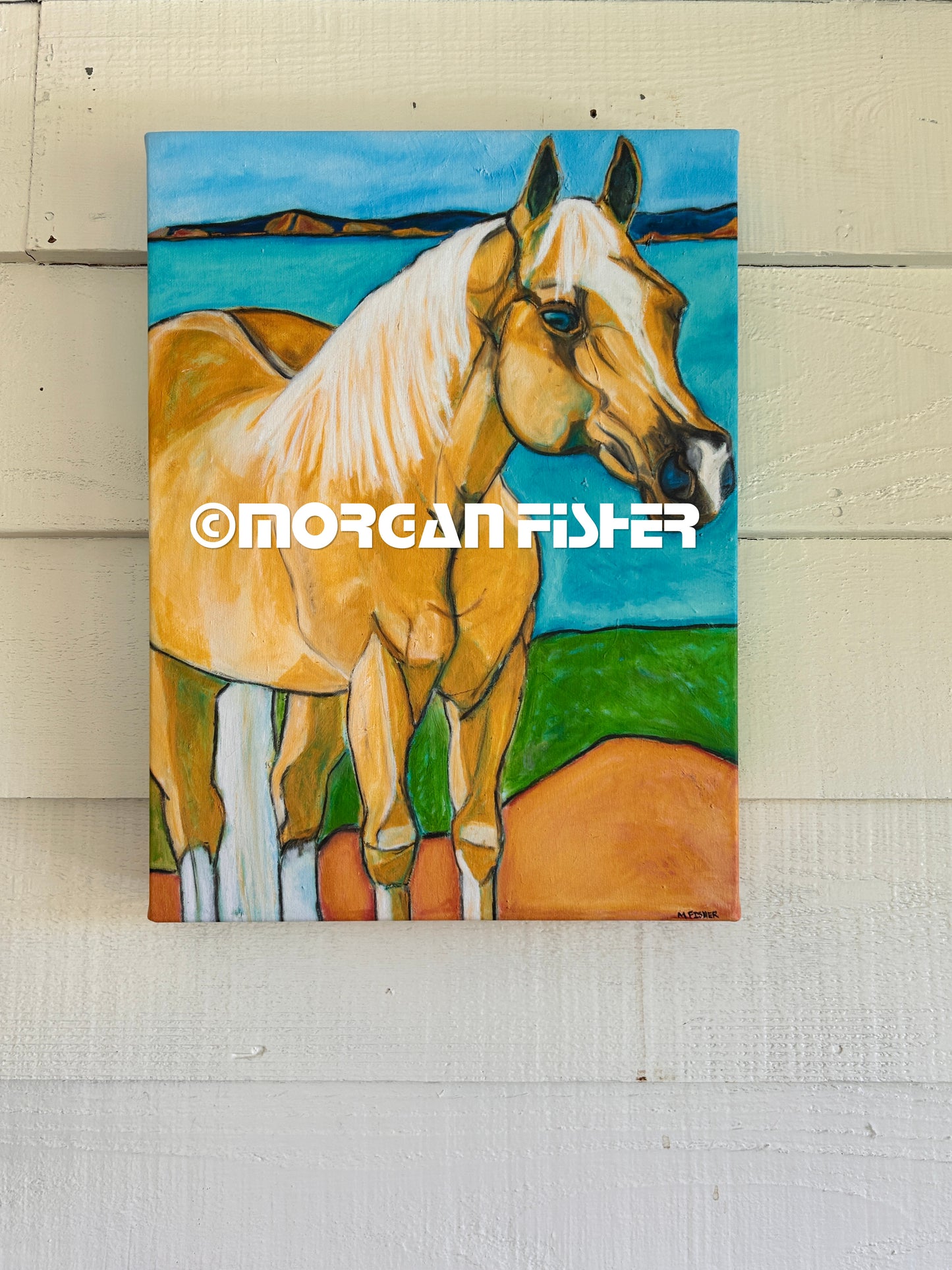 ISLAND STALLION | CANVAS GICLEE | 12x16