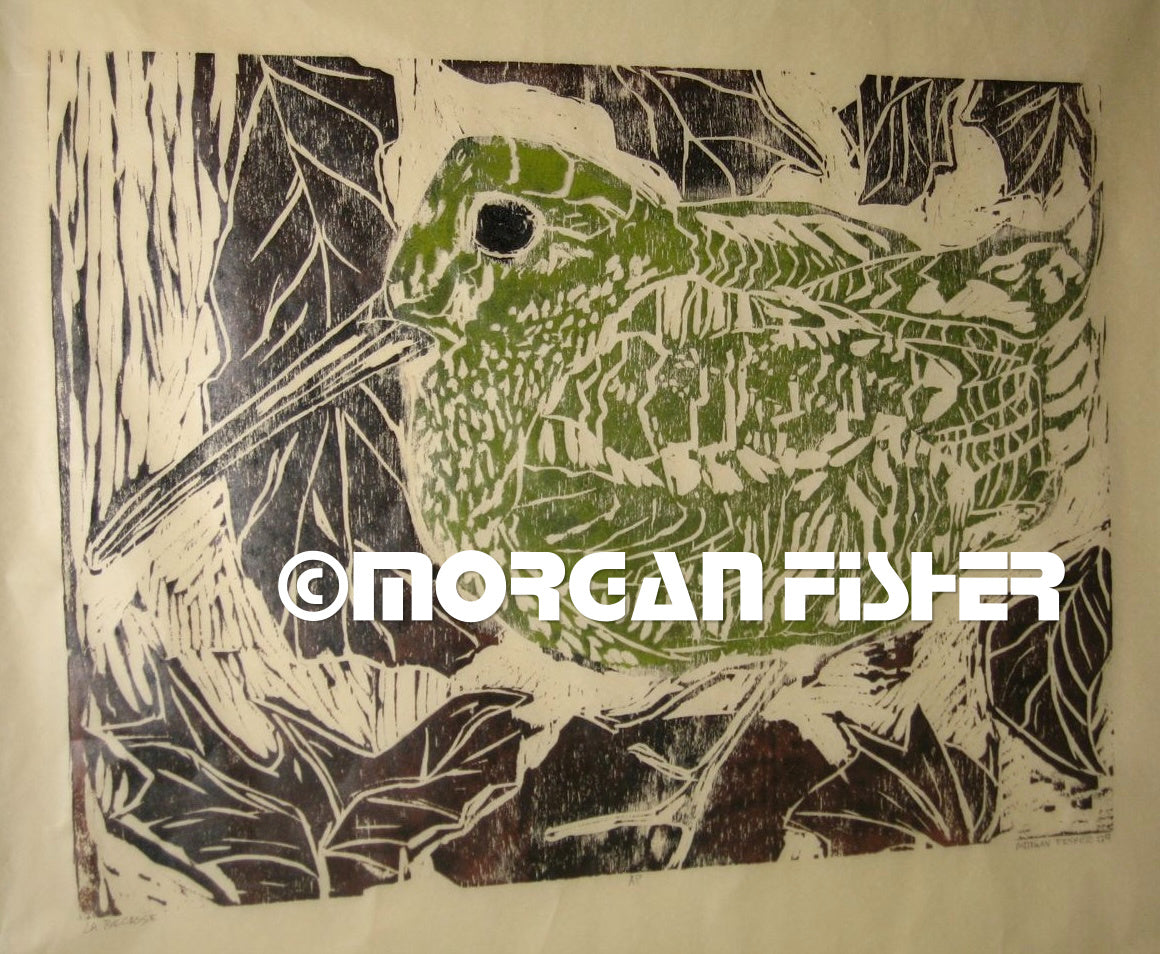 Woodcut + Intaglio | Portfolio