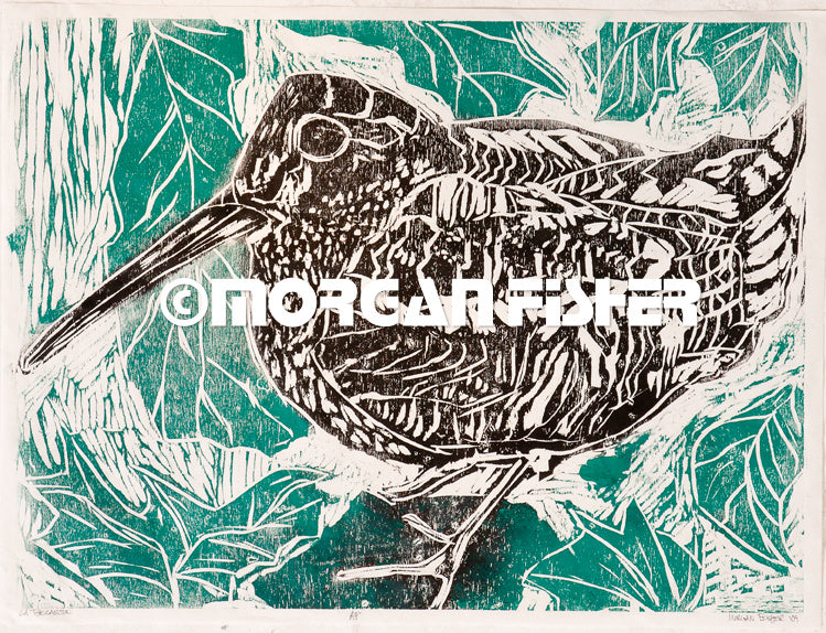 Woodcut + Intaglio | Portfolio