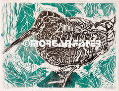Woodcut + Intaglio | Portfolio
