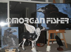 Bird Gallery | Portfolio