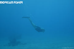 Coastal Sol™| Photos