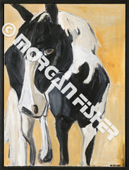 Horse Gallery | Portfolio