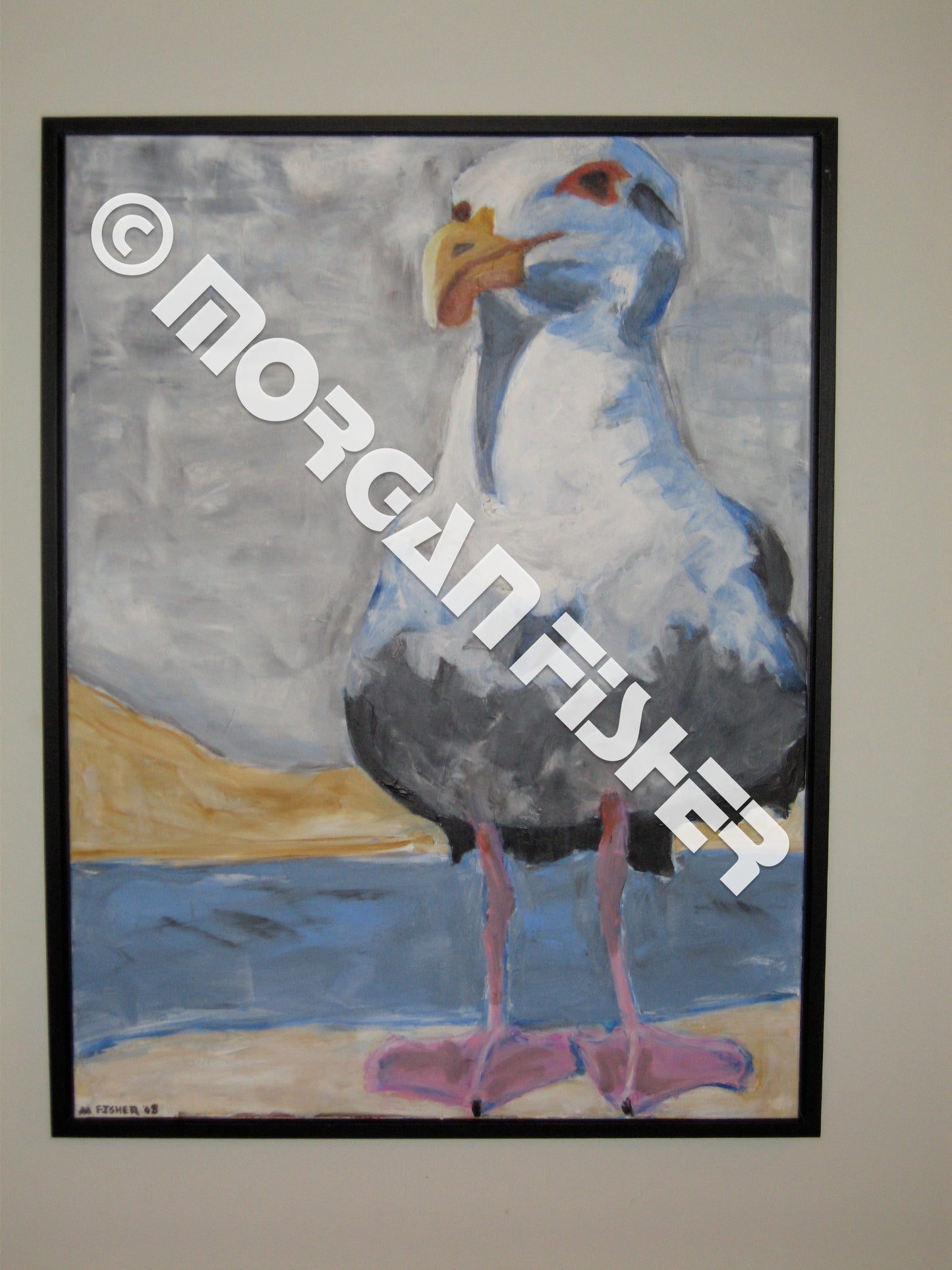Bird Gallery | Portfolio