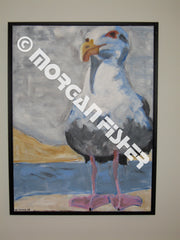 Bird Gallery | Portfolio