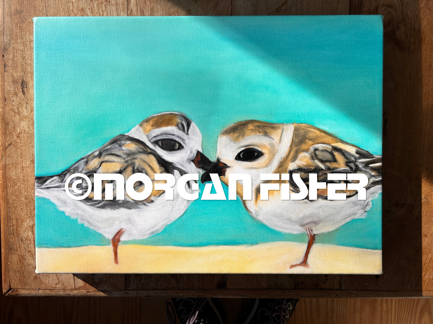 PLOVER PAIR | CANVAS GICLEE | 9 x 12