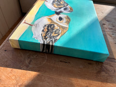 PLOVER PAIR | CANVAS GICLEE | 12 x 16