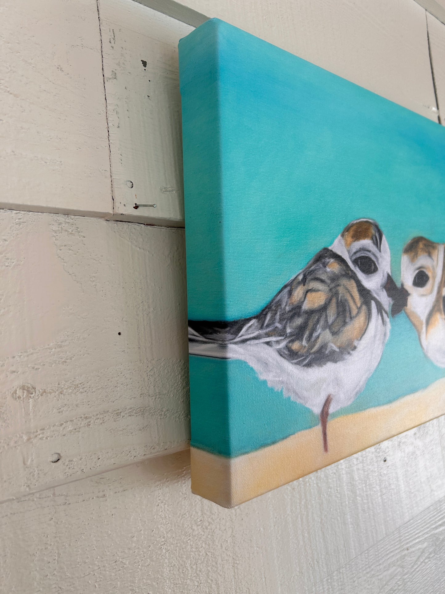 PLOVER PAIR | CANVAS GICLEE | 12 x 16