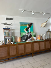 Bird Gallery | Portfolio