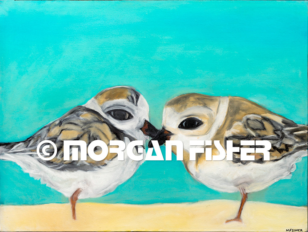 PLOVER PAIR | CANVAS GICLEE | 9 x 12