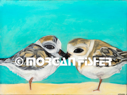 PLOVER PAIR | CANVAS GICLEE | 12 x 16