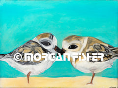 PLOVER PAIR | CANVAS GICLEE | 9 x 12