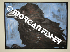 Bird Gallery | Portfolio