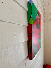 SOMER CARDINAL| CANVAS GICLEE | 18 x 24