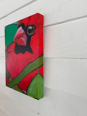 SOMER CARDINAL| CANVAS GICLEE |12 X 16