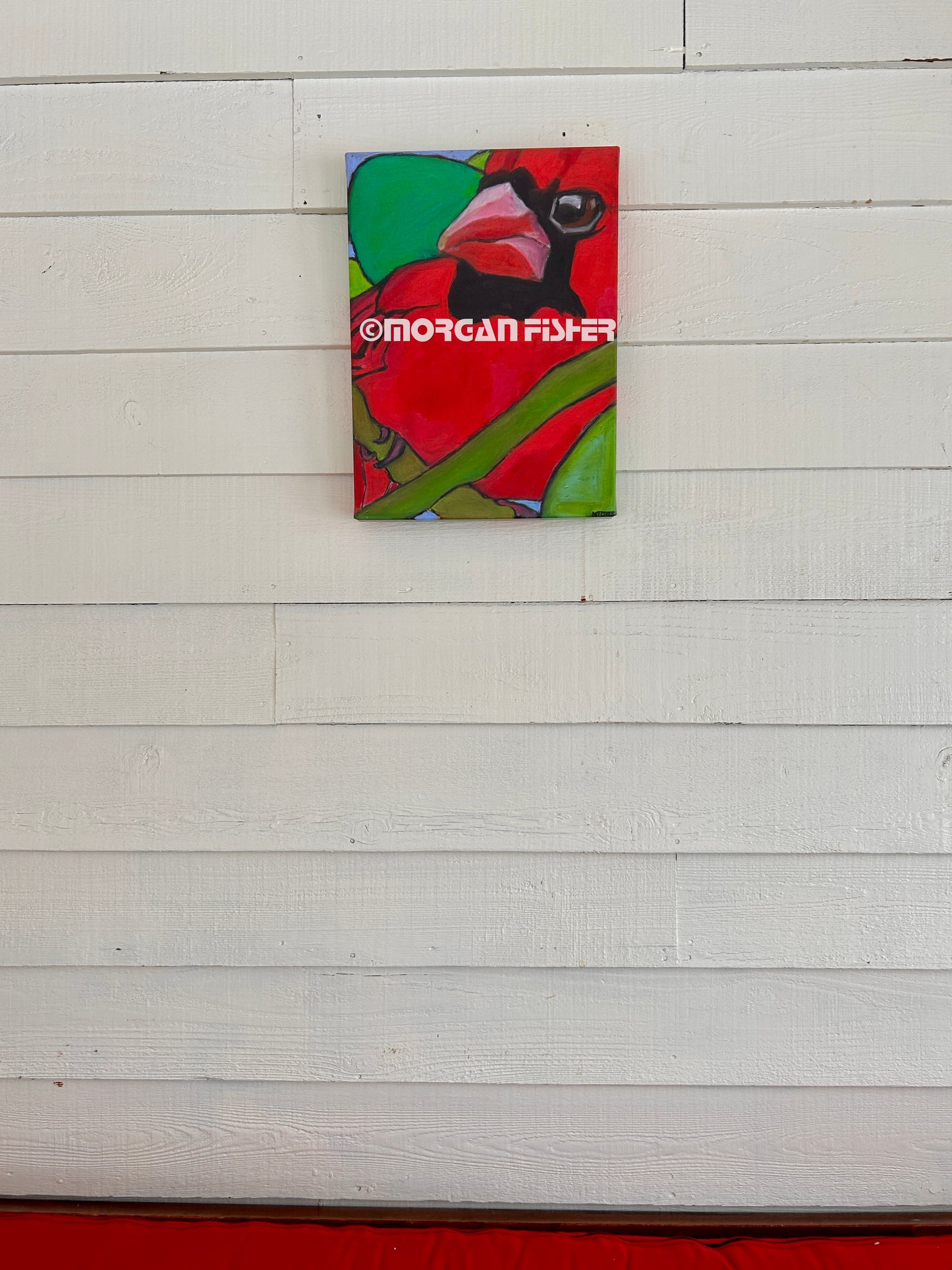 SOMER CARDINAL| CANVAS GICLEE |12 X 16