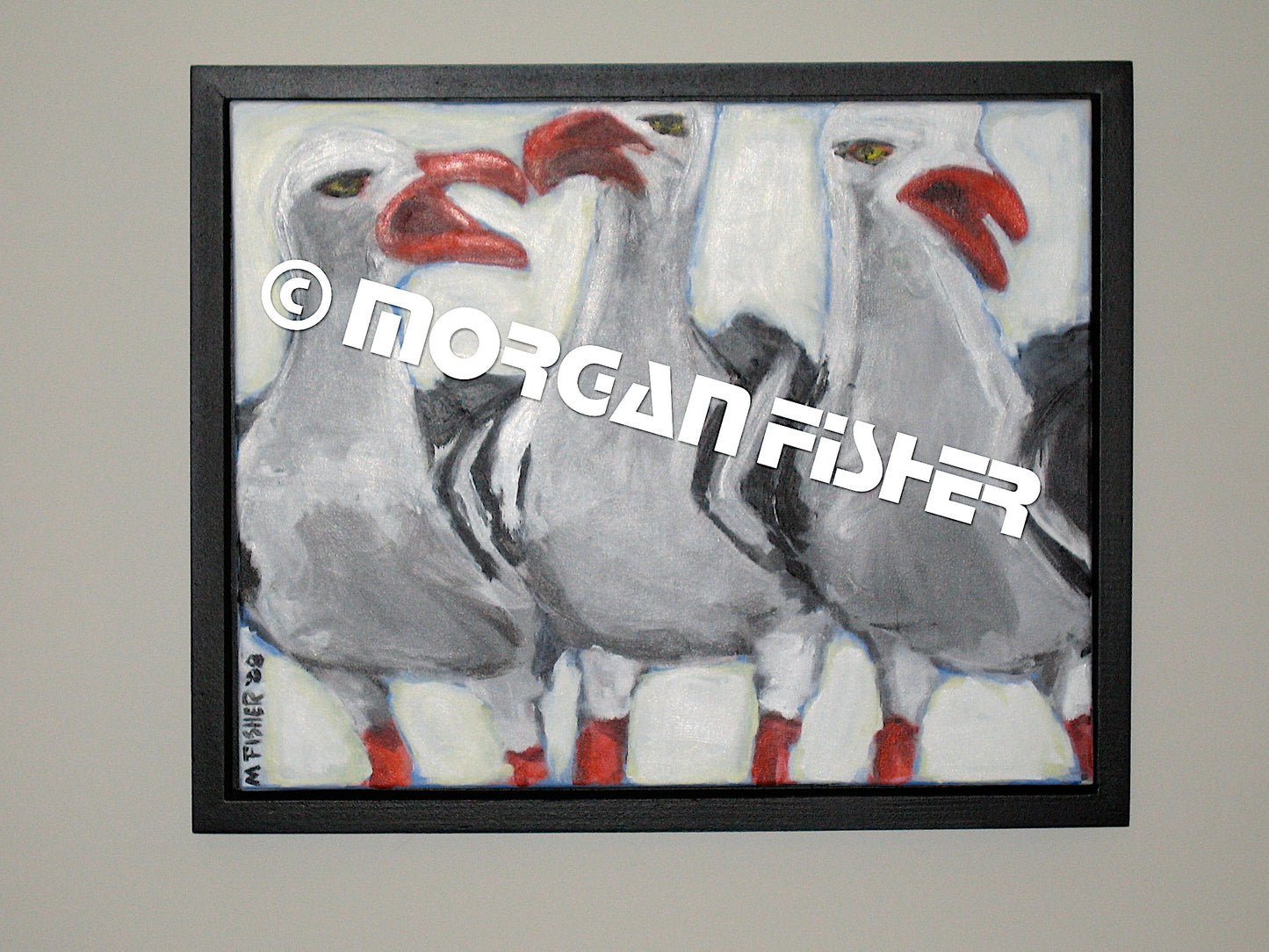 Bird Gallery | Portfolio