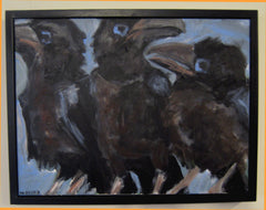 Bird Gallery | Portfolio