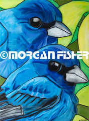 Bird Gallery | Portfolio