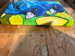 INDIGO BUNTINGS | CANVAS GICLEE | 12 x 16