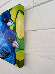 INDIGO BUNTINGS | CANVAS GICLEE | 12 x 16