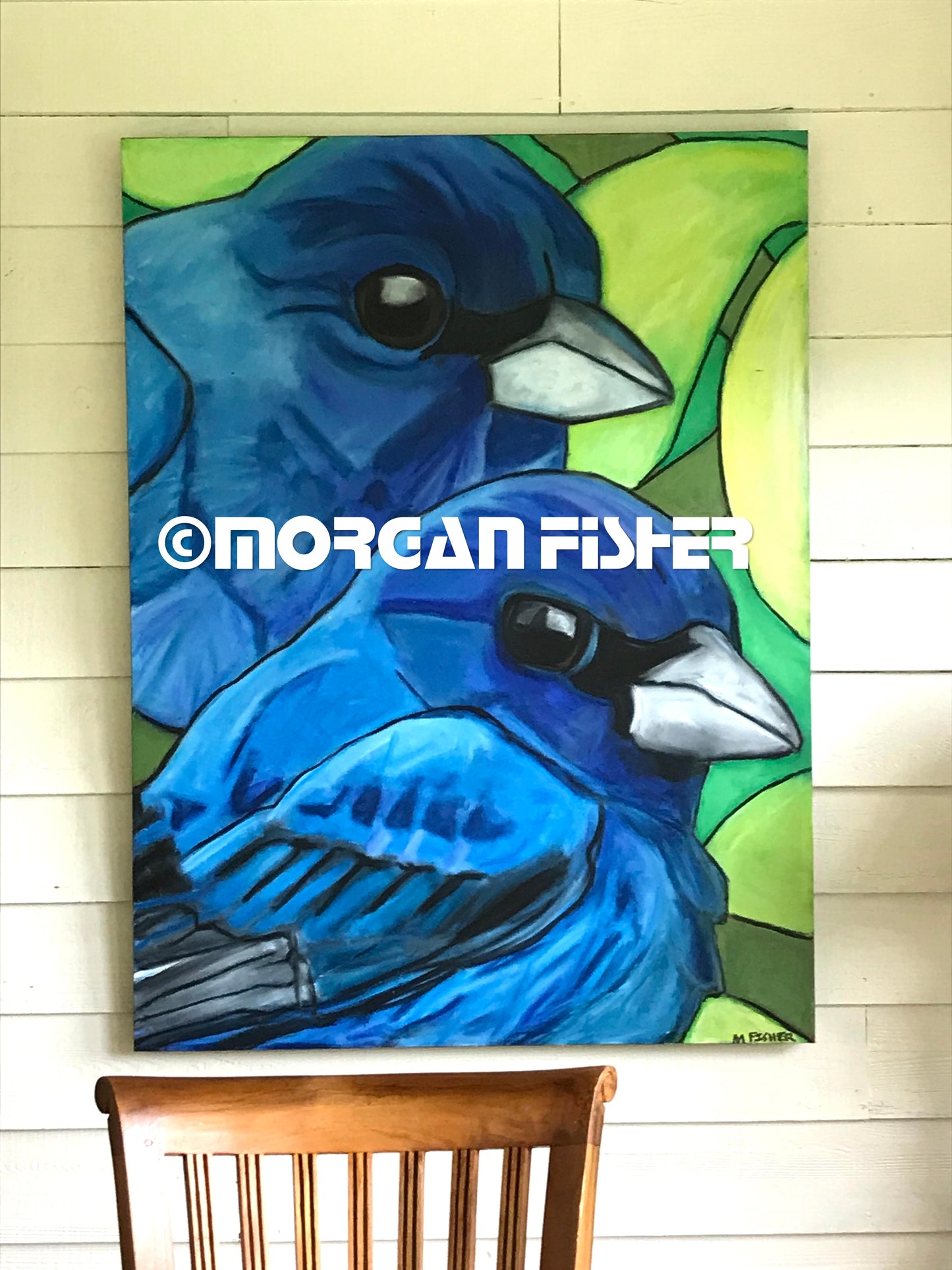Bird Gallery | Portfolio