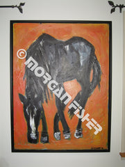 Horse Gallery | Portfolio