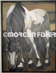 Horse Gallery | Portfolio